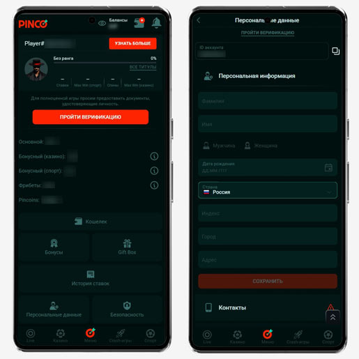 Верификация игрока